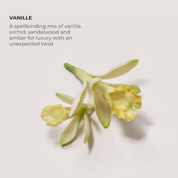 Laura Mercier Vilille 1.7 oz Eau de parfum Boxed NEW - Picture 3 of 4